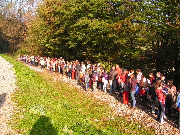 pict7303_20101014_1362078493