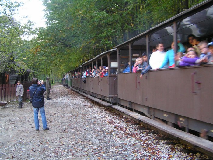 pict7356_20101014_1726176425