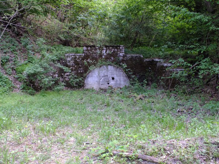 DSCF4571