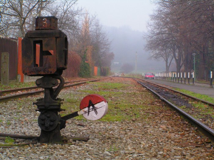 pict8180_20101114_1629350671