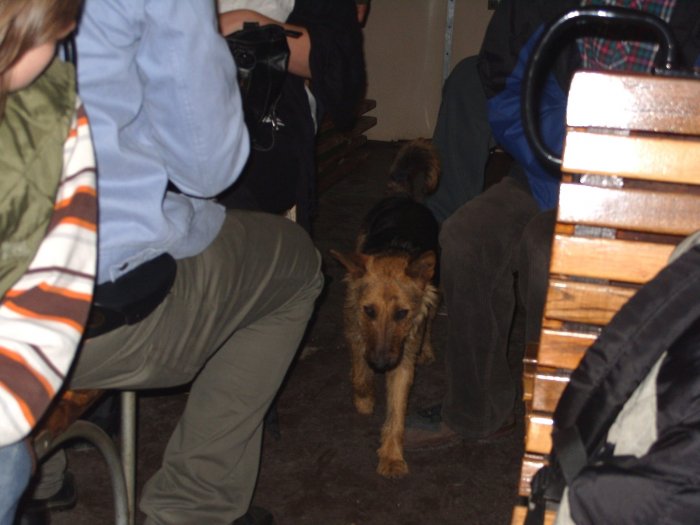 _20110430_1003778049