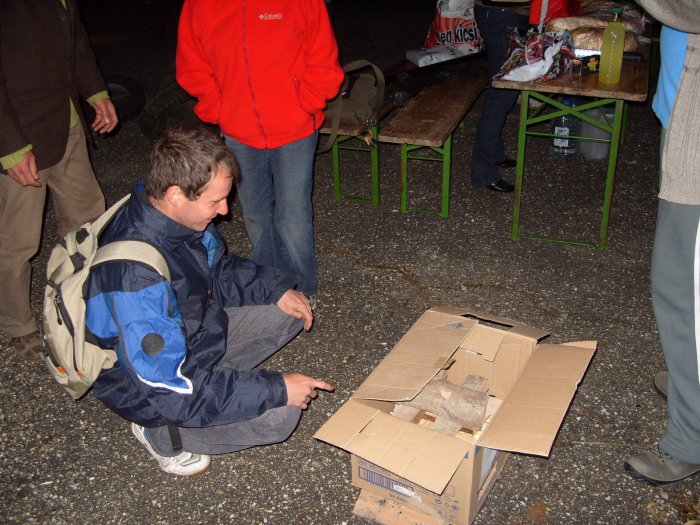 _20110430_1383391002