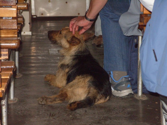 _20110430_1771464019