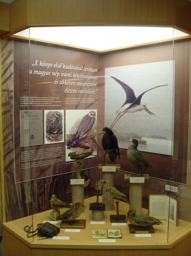 _20110430_1857875664